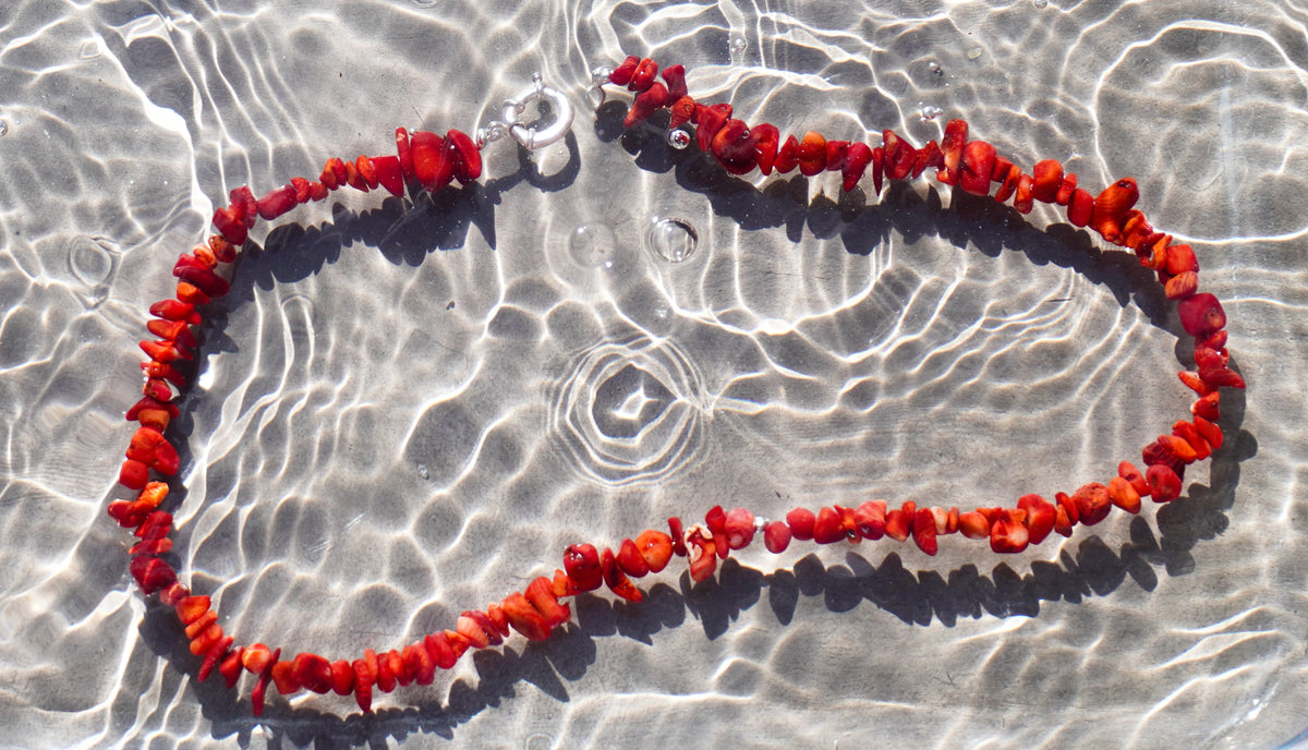 The Bamboo Coral Ocean