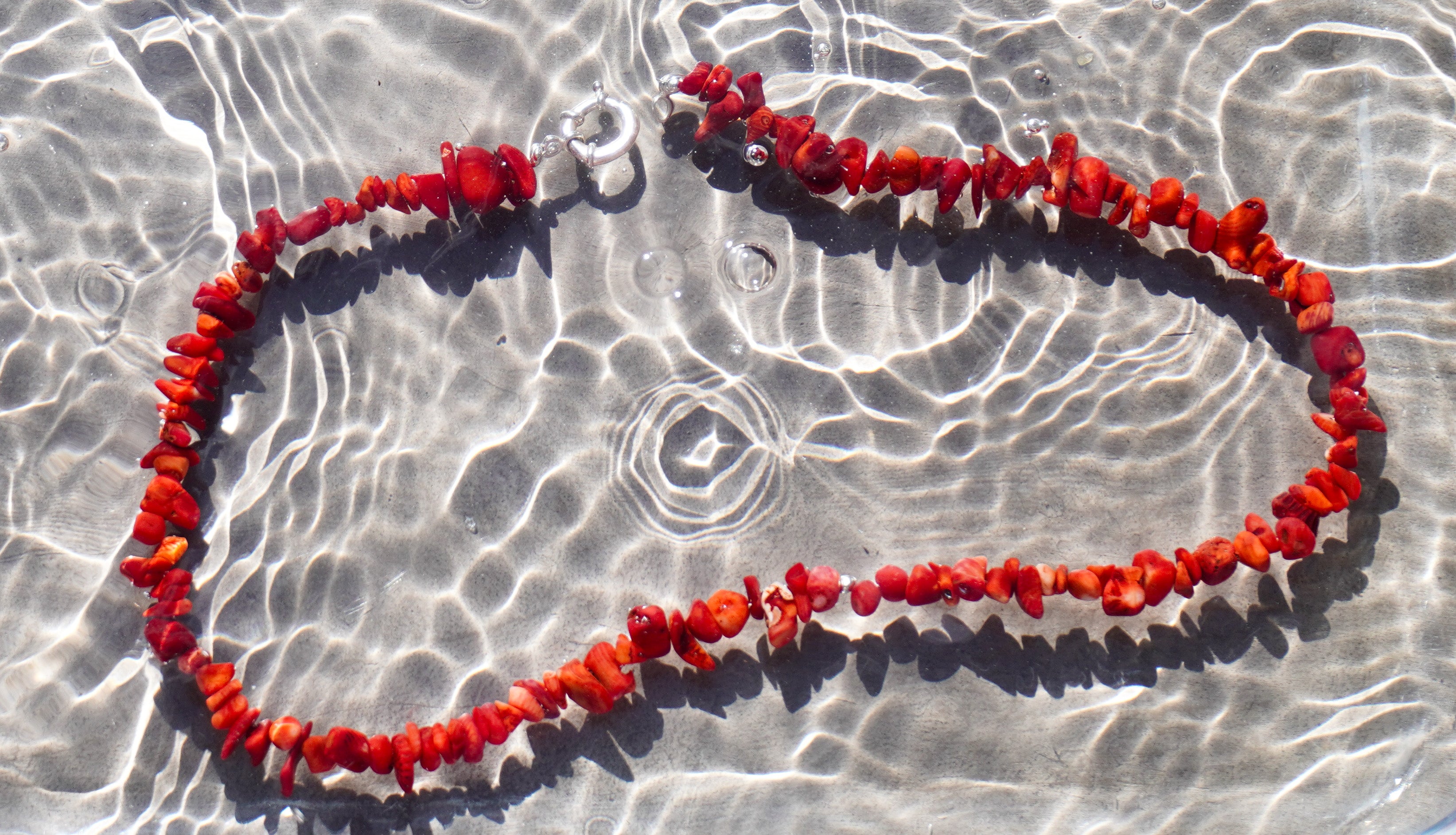 The Bamboo Coral Ocean