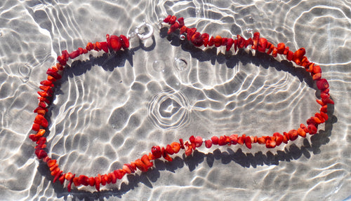 The Bamboo Coral Ocean